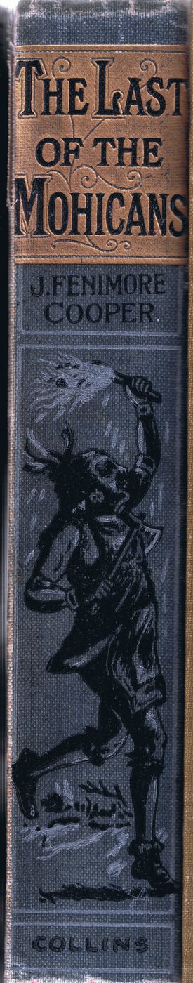 Design de espinha, 1910 de Johann Nepomuk Schonberg