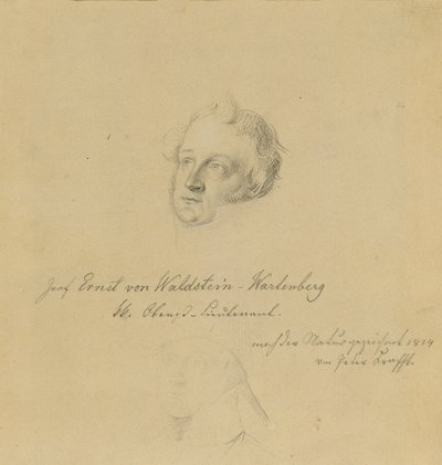 Conde Ernst de Waldstein-Wartenberg de Johann Peter Krafft