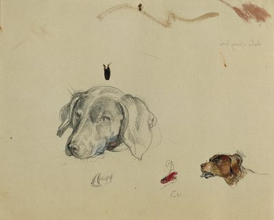 estudo de cachorro de Johann Peter Krafft