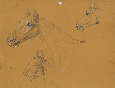 Estudo do cavalo no "Archduke Karl com o seu pessoal na Batalha de Aspern". de Johann Peter Krafft