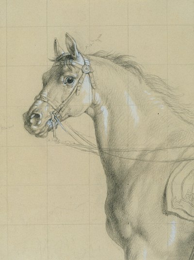 Estudo de cavalos para "Arquiduque Karl com sua equipe na batalha de Aspern" de Johann Peter Krafft