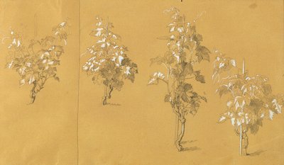 Weinstock, Estudo sobre "Hermann e Dorothea in the Vineyard" de Johann Peter Krafft