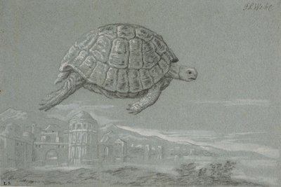 Estudo de uma tartaruga e perspectiva de uma cidade fortificada à beira-mar (Veneza) de Johann Salomon Wahl