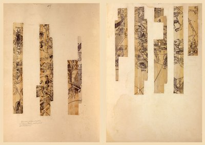 Fragmentos de globo celeste. LOC 2016586440 de Johann Schöner