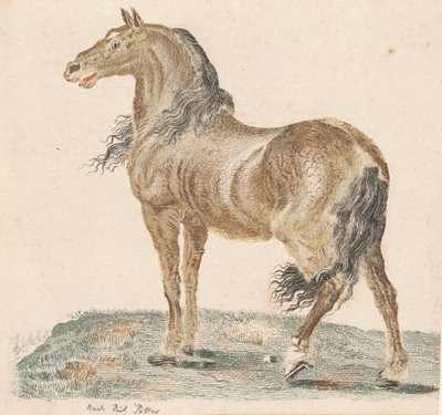 The Neighing Horse, 1690s. de Johann Teyler