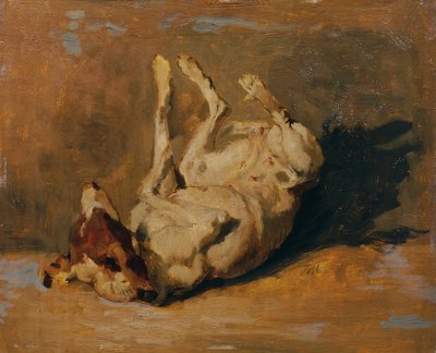 cachorro chafurdando de Johann  Till der Jüngere