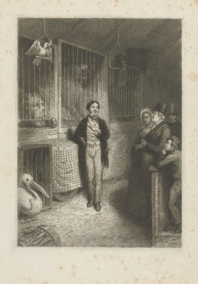 Observação de animais de Johann Wilhelm Kaiser (I)