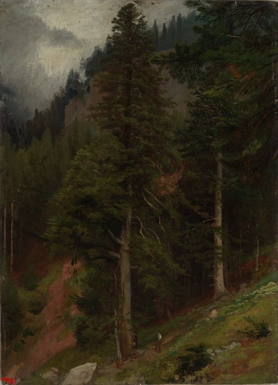 Encosta na floresta de abetos de Johann Wilhelm Schirmer