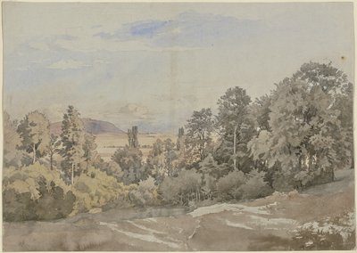 Floresta com vista ao longe de Johann Wilhelm Schirmer