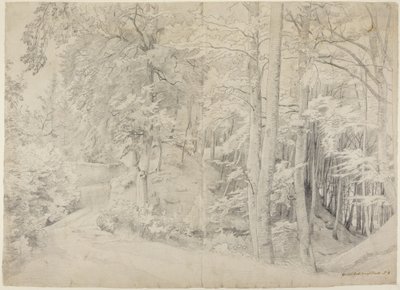 Na floresta de faias de Johann Wilhelm Schirmer