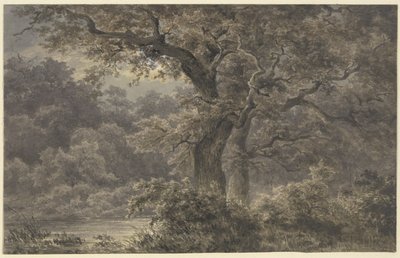Carvalhos na floresta de Johann Wilhelm Schirmer