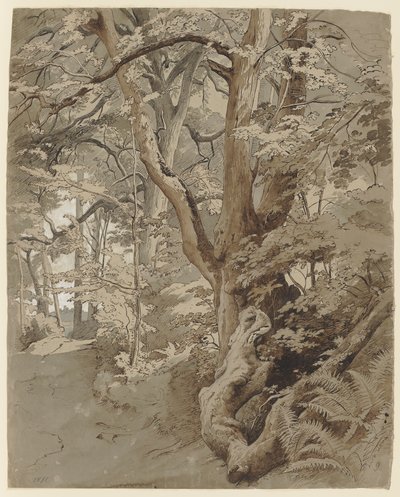  de Johann Wilhelm Schirmer