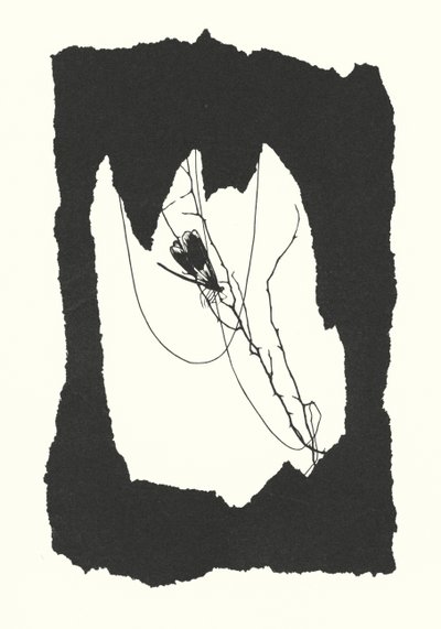 Silhueta de Johanna Beckmann (litografia) de Johanna Beckmann