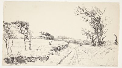 Paisagem Breininggaard de Johanne Krebs