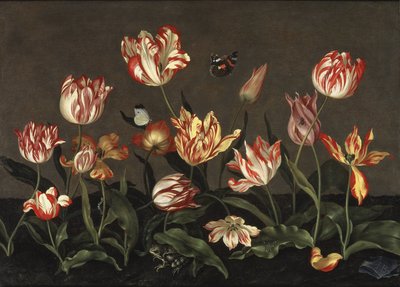 Nature morte avec des tulipes - Still Life with Tulips, de Bosschaert, Johannes (ca. 1610-ca. 1650). Óleo sobre madeira. Dimensão : 46x64 cm. Nationalmuseum Stockholm de Johannes Bosschaert