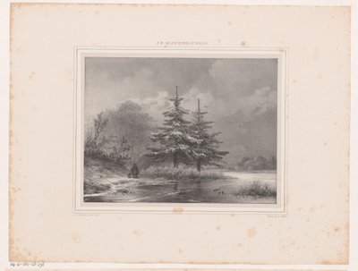 Paisagem de inverno com dois pinheiros de Johannes Christiaan d