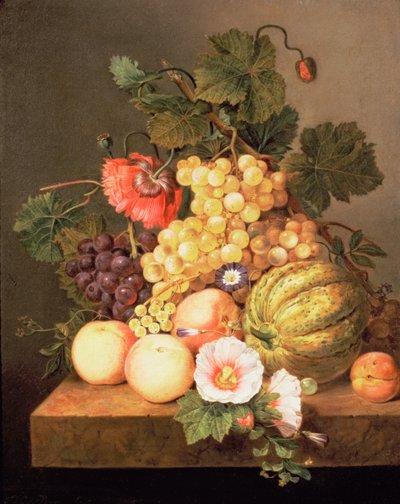 Ainda vida com frutas de Johannes Cornelis Bruyn