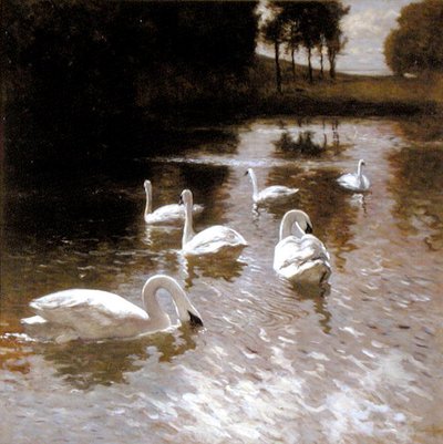 Cisnes sobre um lago, c.1890 (óleo sobre tela) de Johannes Cornelis van Essen