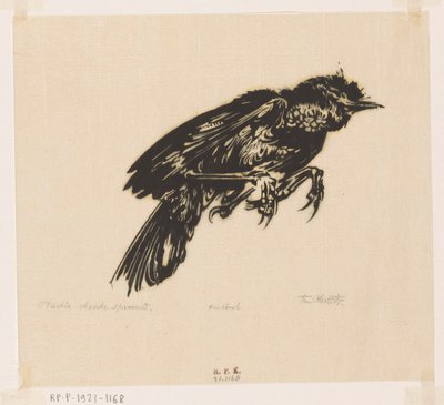 Estorninho morto (título original no objeto) de Johannes Frederik Engelbert ten Klooster (signed by artist)