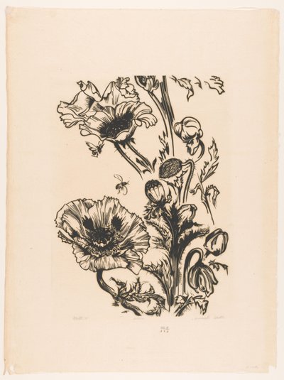 Studie papavers (título original sobre o objecto) de Johannes Frederik Engelbert ten Klooster (signed by artist)