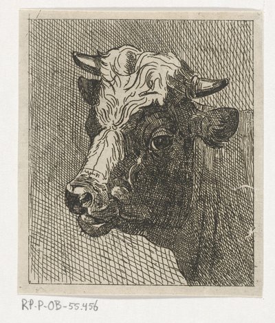 Cabeça de vaca para a esquerda de Johannes Hari (II)