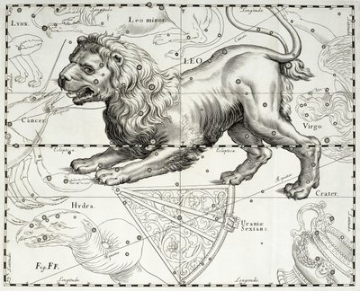 Leão, constelação zodiacal de Leão, ilustração retirada do atlas estrelado de Johann Hevelius (1611-1687) Firmamentum Sobiescianum sive Uranographia, Gdansk de Johannes Hevelius