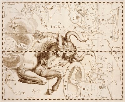 Taurus (signo zodiacal), gravura de Firmamentum Sobiescianum sive Uranographia, catálogo completo em estrela, de Johann Hevelius (1611-1687), impresso em Gdansk de Johannes Hevelius