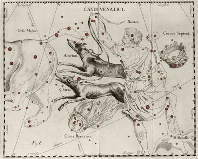 A constelação Canes Venatici, Cães de Caça. Placa retirada de "Firmamentum Sobiescanum sive Uranographia" de Johannes Hevelius ou Hevel (1611-1687) de Johannes Hevelius