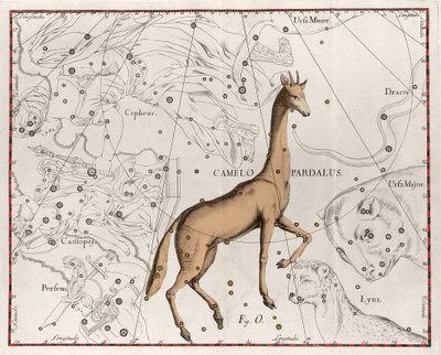 A constelação da placa de girafa retirada do "Firmamentum Sobiescanum sive Uranographia" de Johannes Hevelius ou Hevel (1611-1687) de Johannes Hevelius