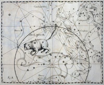 Ursa Minor, constelação boreal da Ursa Minor, gravura de atlas celeste Firmamentum Sobiescianum sive Uronographia, de Johann Hevelius (1611-1687), Gdansk de Johannes Hevelius