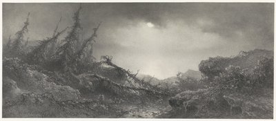 Após a Tempestade de Johannes Hilverdink