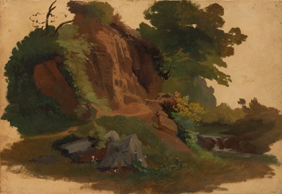Rocky Outcrop by a Stream in the Roman Campagna, ca. 1835-40. de Johannes Jakob Frey