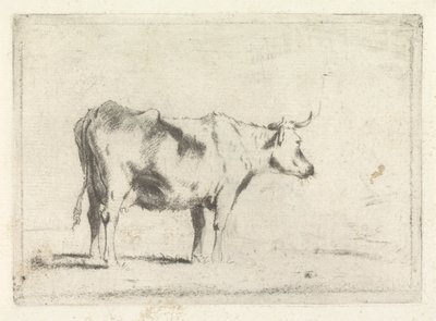 Vaca, à direita de Johannes Janson (possibly)