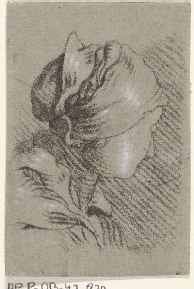 busto feminino de Johannes Janson (possibly)