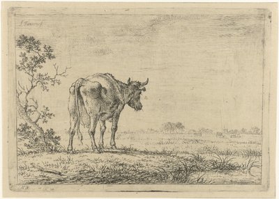 Vaca no pasto de Johannes Janson