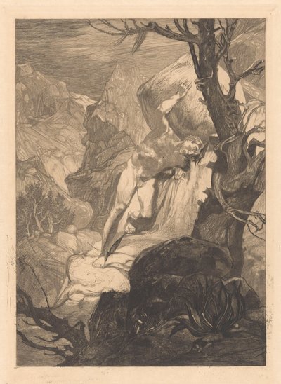 Ferido na paisagem rochosa de Johannes Josephus Aarts