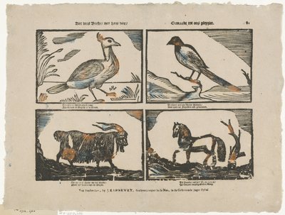 Contemple essas feras com seus quatro / Feitos para nosso prazer (título no objeto) de Johannes Kannewet (II)