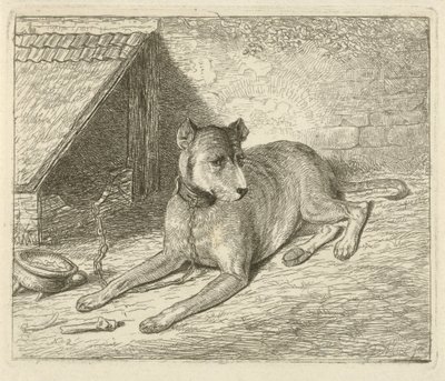 Cão numa corrente numa casa de cão de Johannes Mock