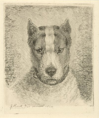 Cabeça de cachorro com coleira de Johannes Mock