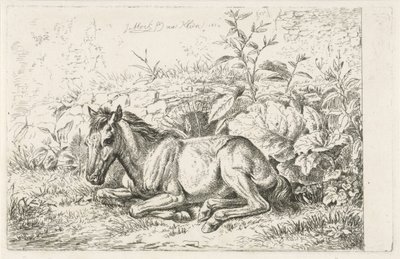 Cavalo deitado na frente de algumas plantas de Johannes Mock