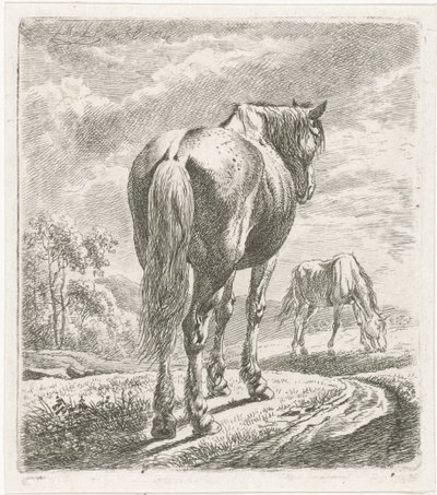 Cavalo visto por trás de Johannes Mock