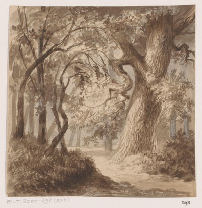 paisagem da floresta de Johannes Tavenraat