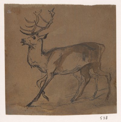Hert de Johannes Tavenraat