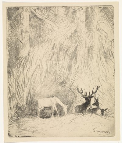 Cervos em uma floresta boêmia de Johannes Tavenraat