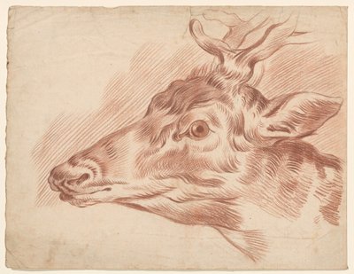 Cabeça de um veado, à esquerda de Johannes Tavenraat