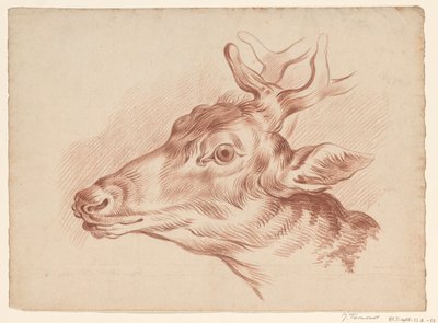 Cabeça de um cervo, à esquerda de Johannes Tavenraat