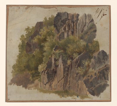 Rochas e vegetação de Johannes Tavenraat