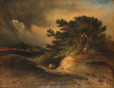 A tempestade A tempestade de Johannes Tavenraat