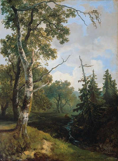 Vista da floresta perto de Wolfheze. de Johannes Warnardus Bilders