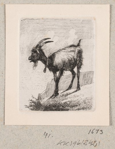 Uma cabra com um sino de Johannes Wilhelm Zillen